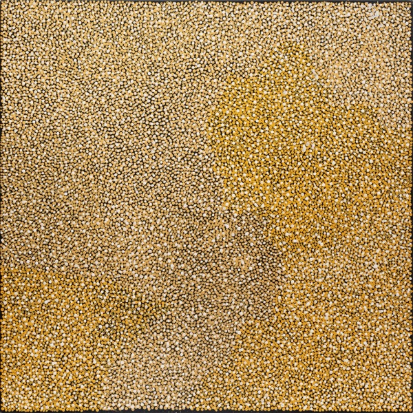 Tjunginpa (Marsupial Mouse) Dreaming