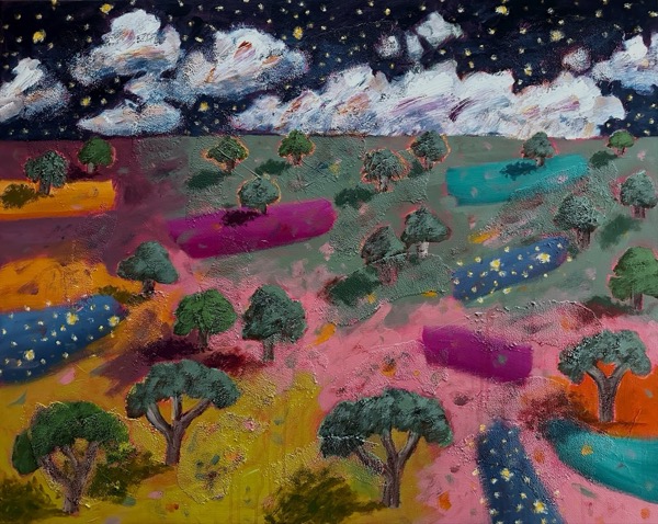 Paddocks under a starry sky