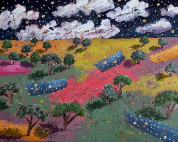 Starlight Over Open Fields