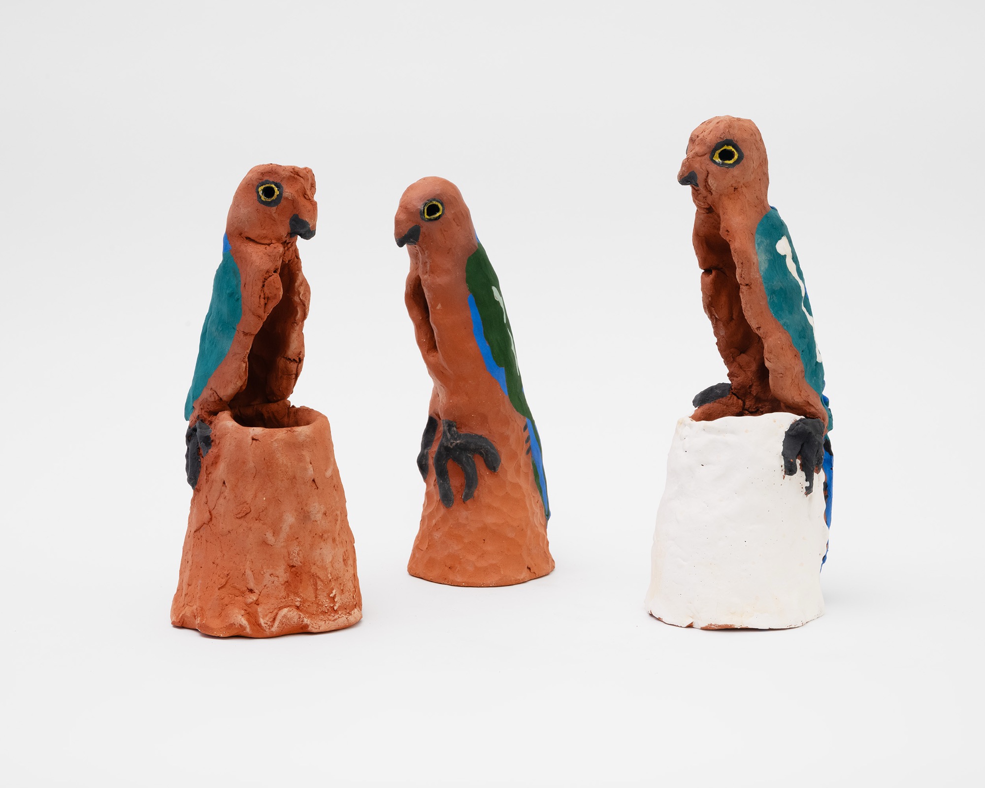 A Selection of King Parrots