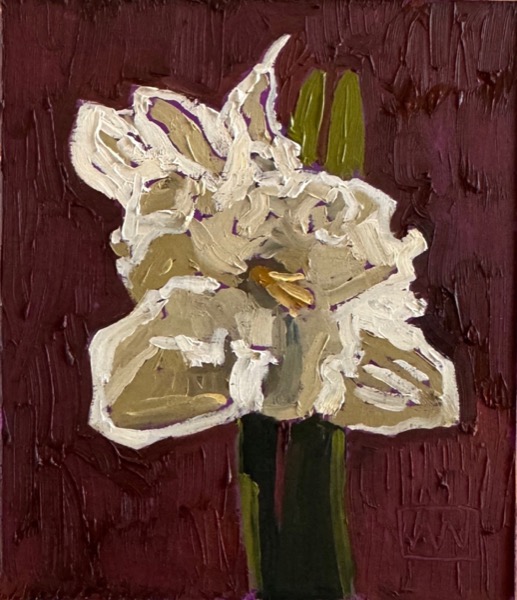 Daffodil