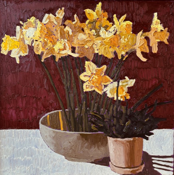 Daffodil Soup