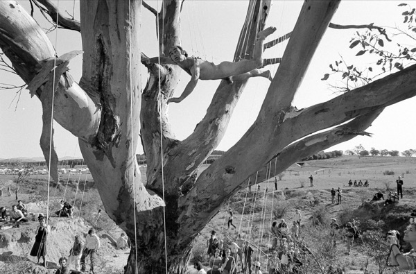 Prepared Tree Suspension: Event For Obsolete Body No.6, Black Mountain, Canberra, 10 October 1982