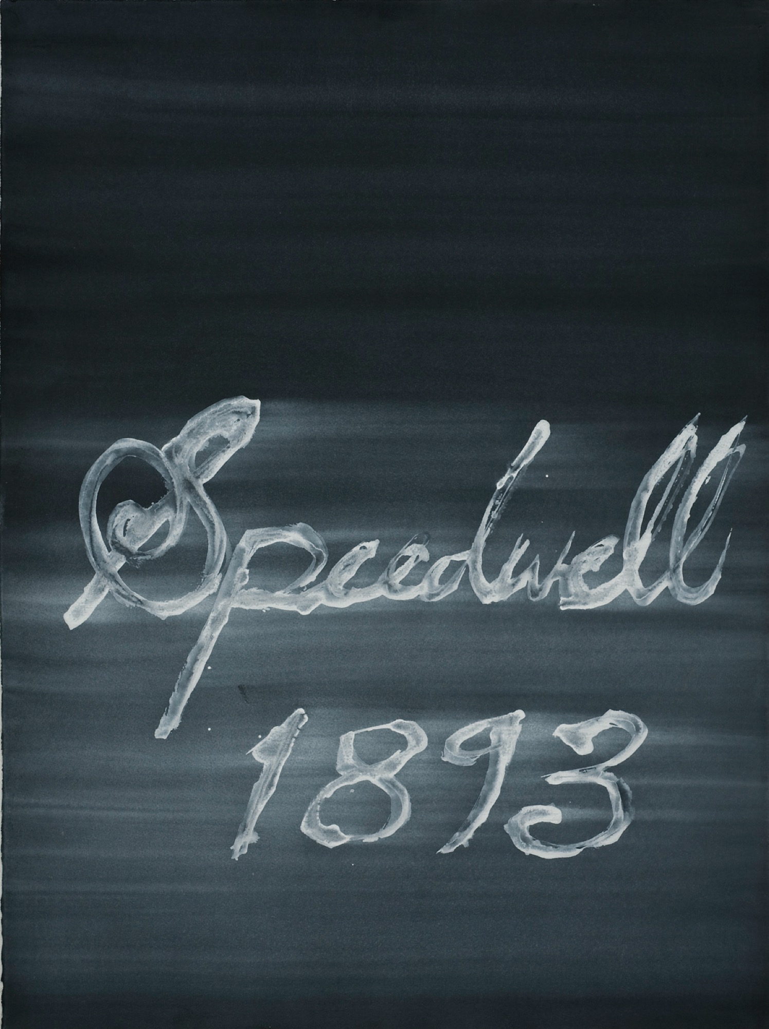 Speedwell 1893