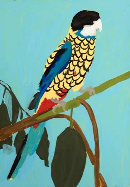 Northern Rosella