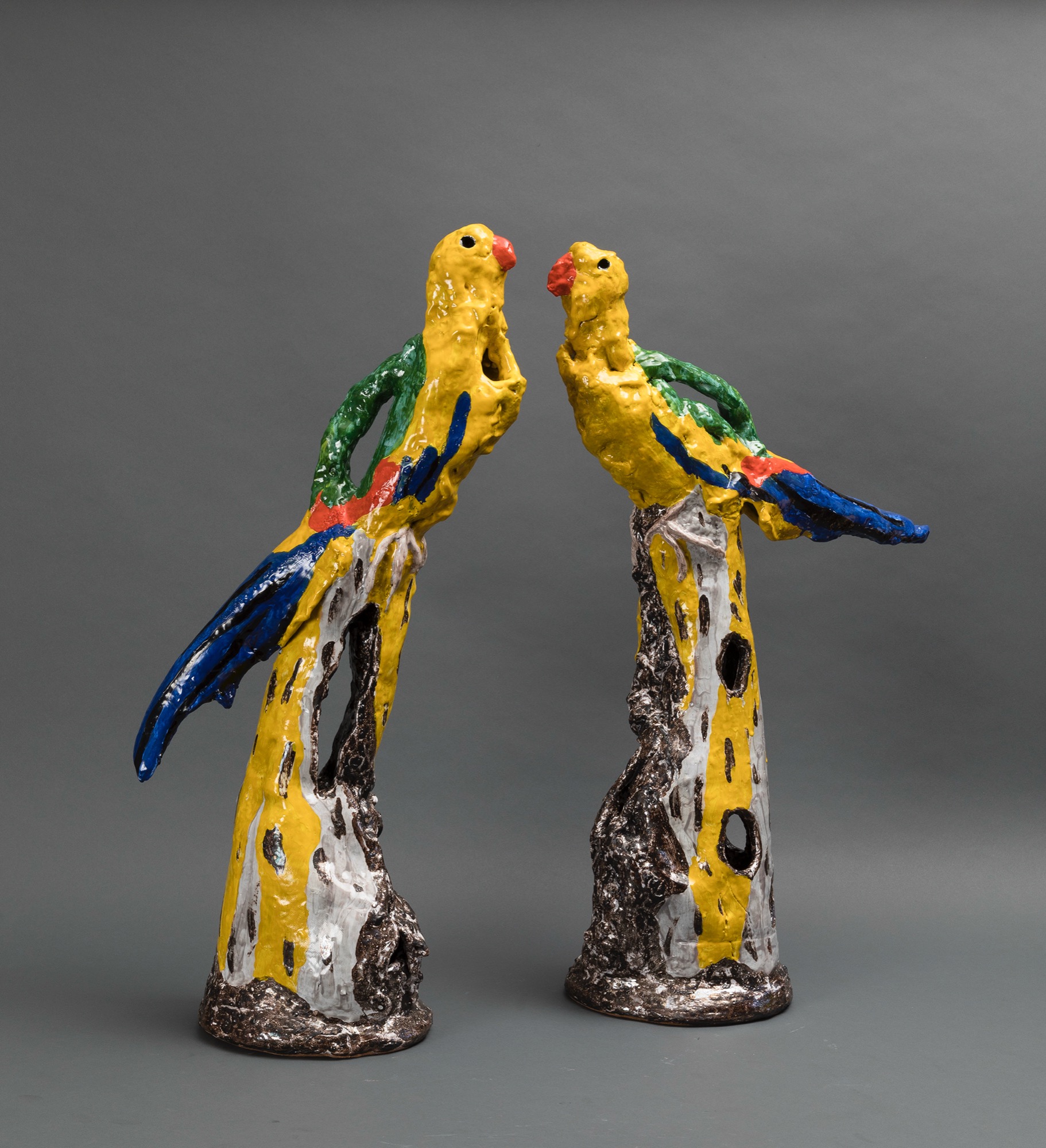 Regents Parrots (pair)