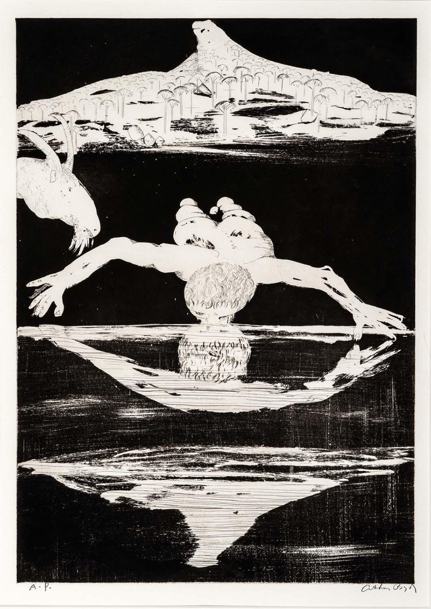 Narcissus Suite: The Narcissus Emblems