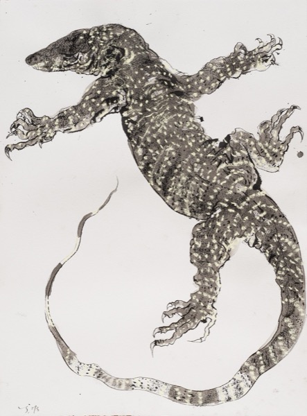 Goanna II