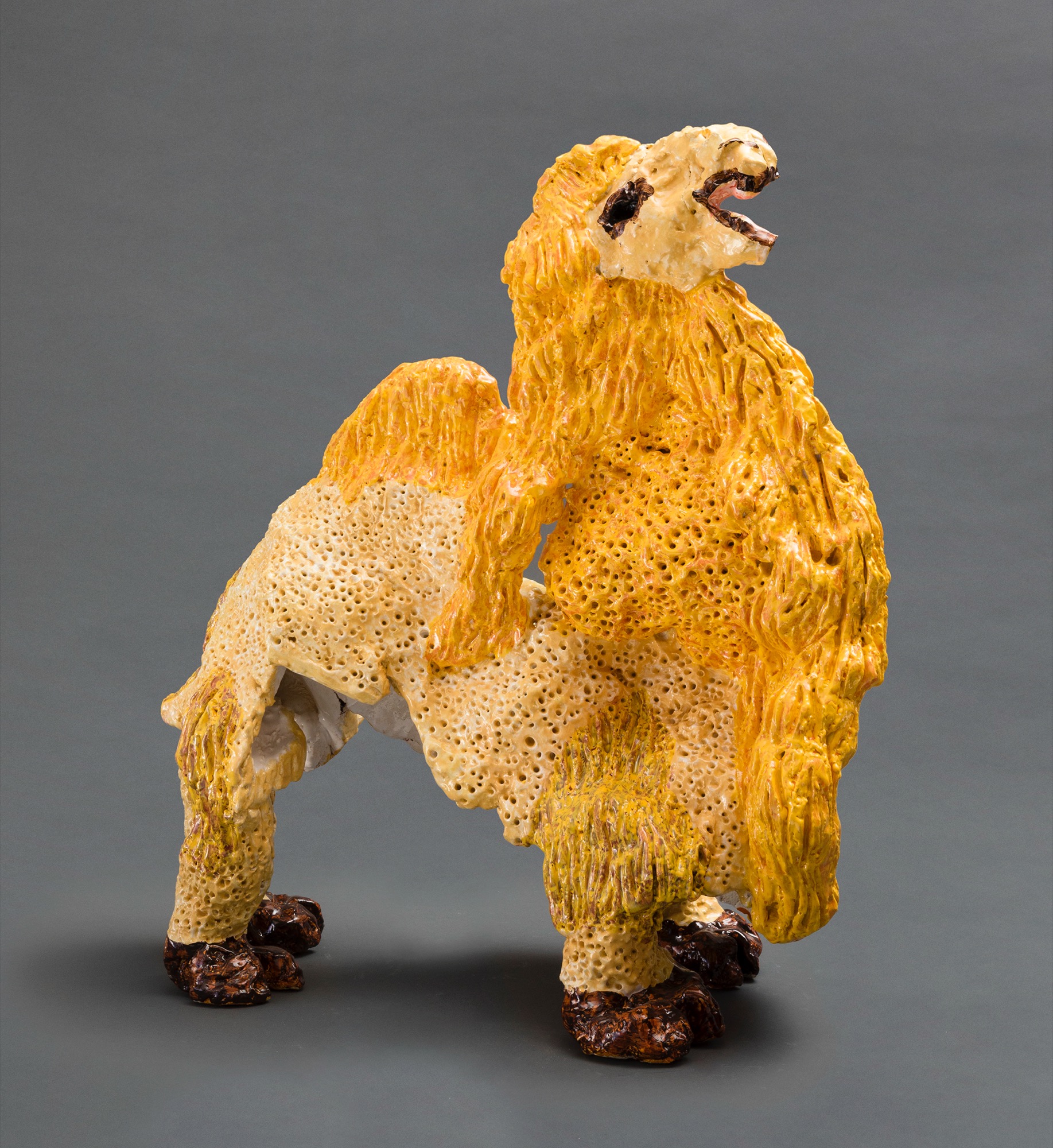 Bactrian Camel 6