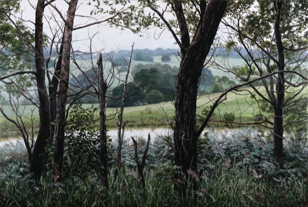 Tree Stories by the Dam