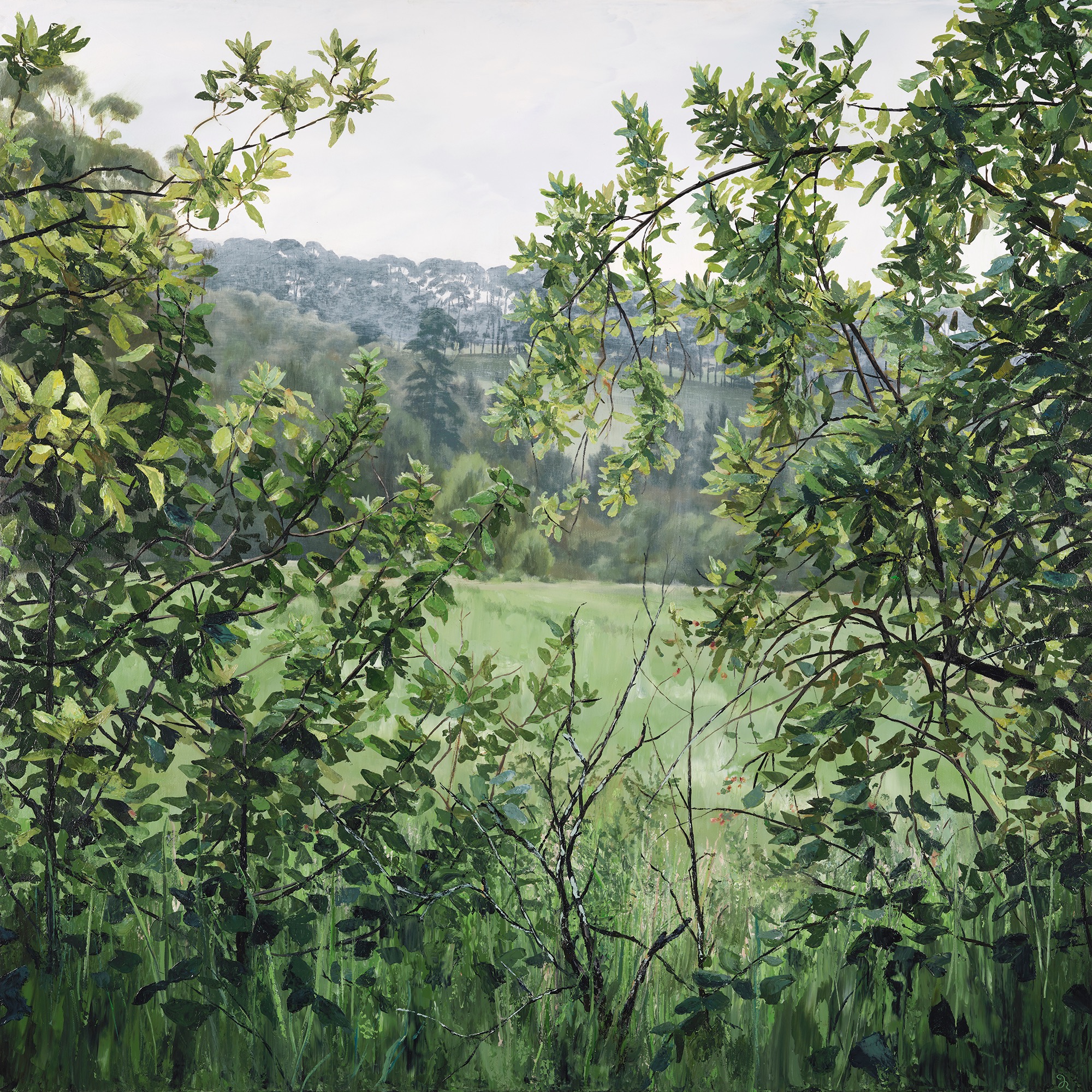 Fields of Foliage