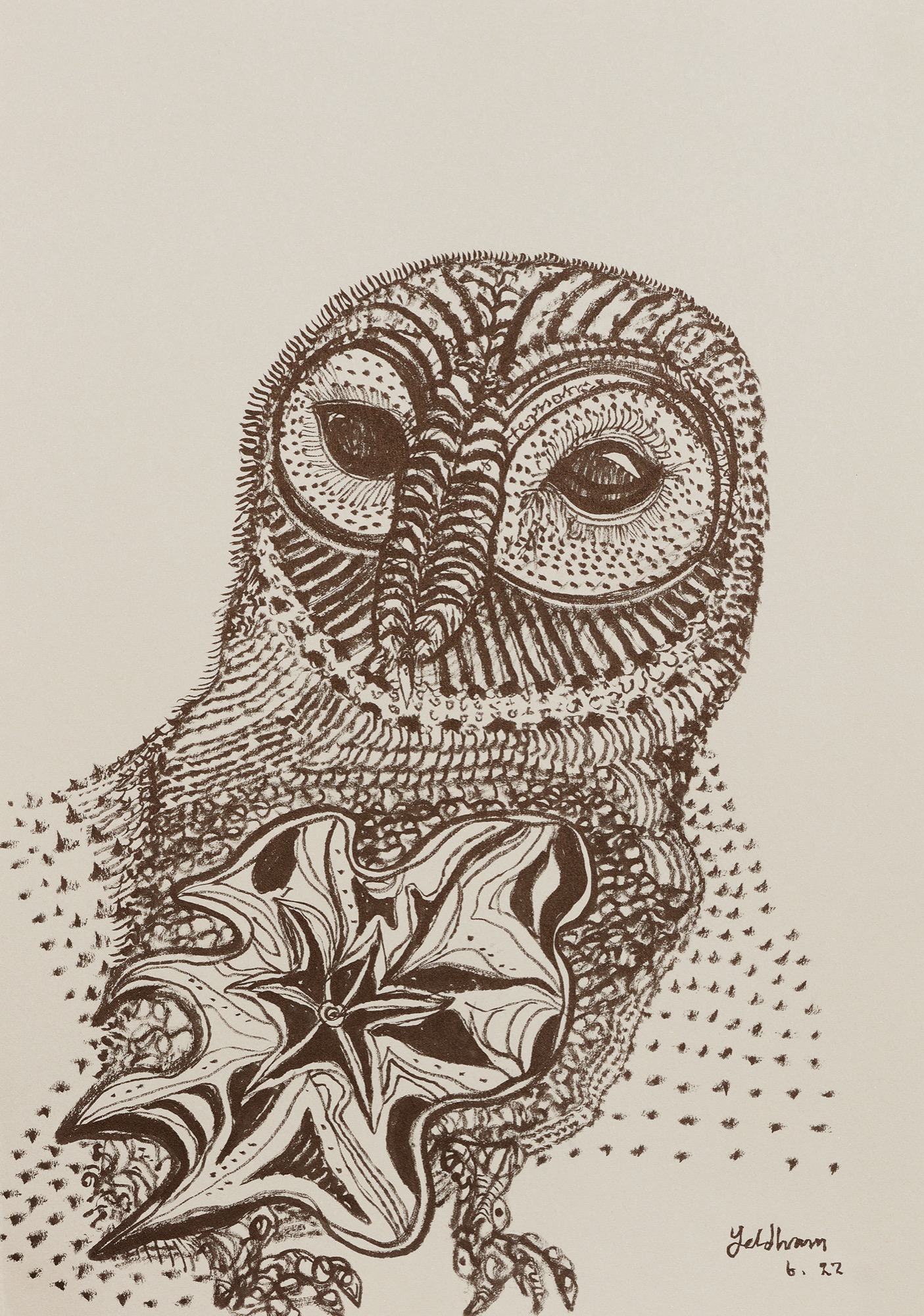 Owl of Black Taro