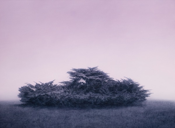 Refuge