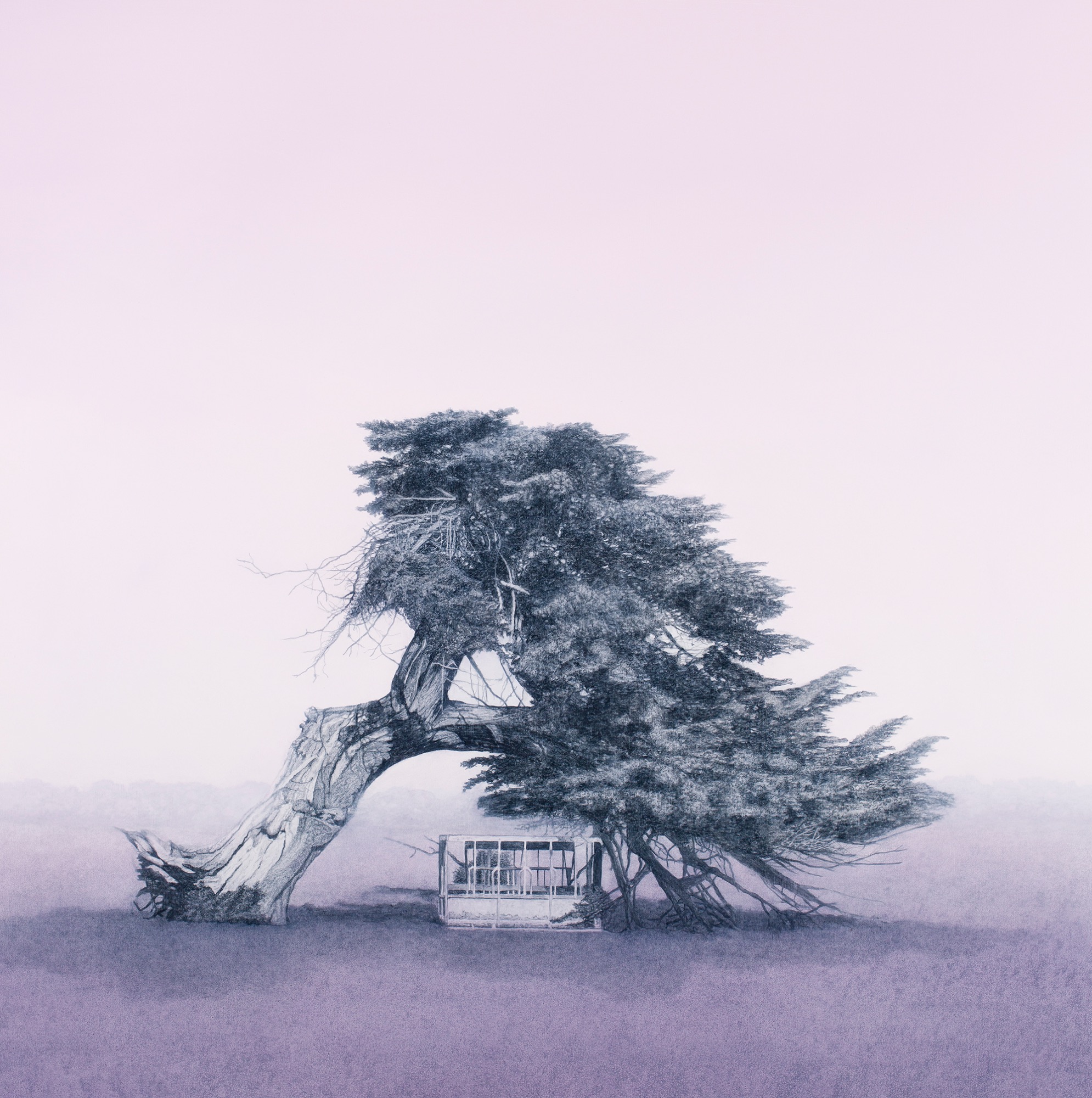 Resilience