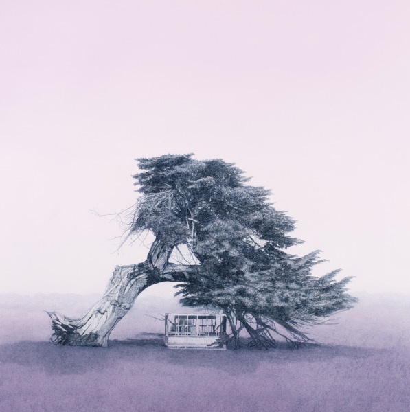 Resilience