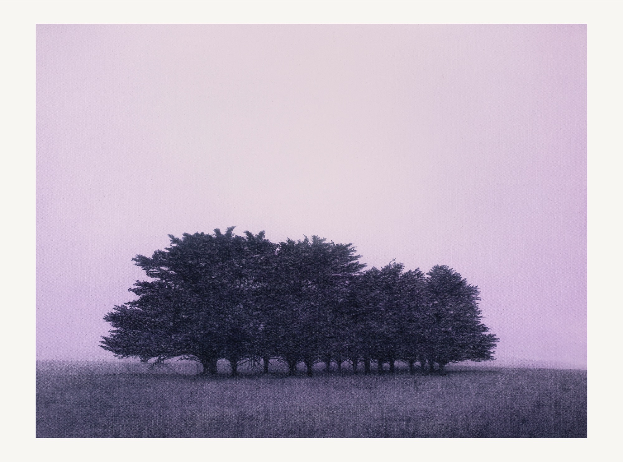 Shelter I