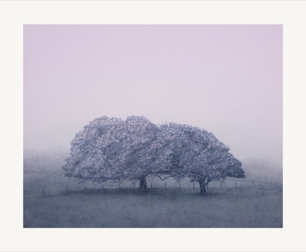 Silentium II