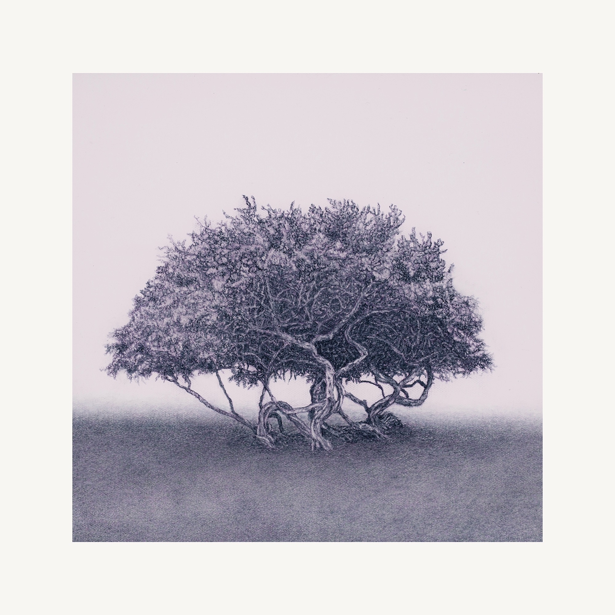 Entwined I
