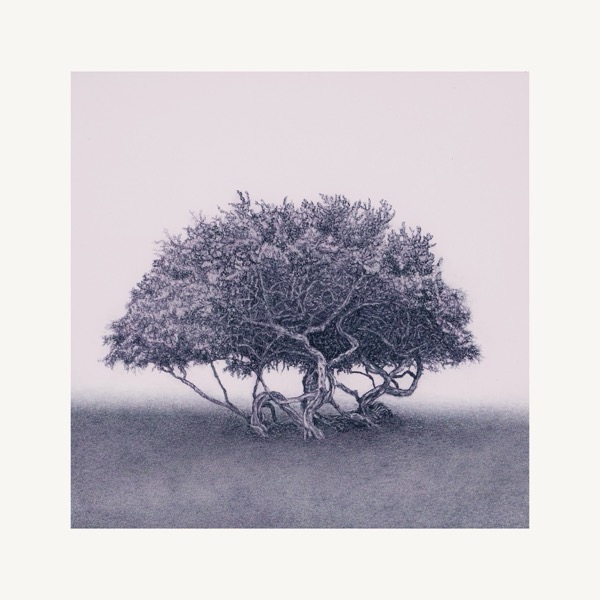 Entwined I