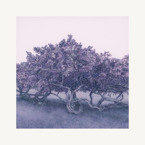 Entwined II