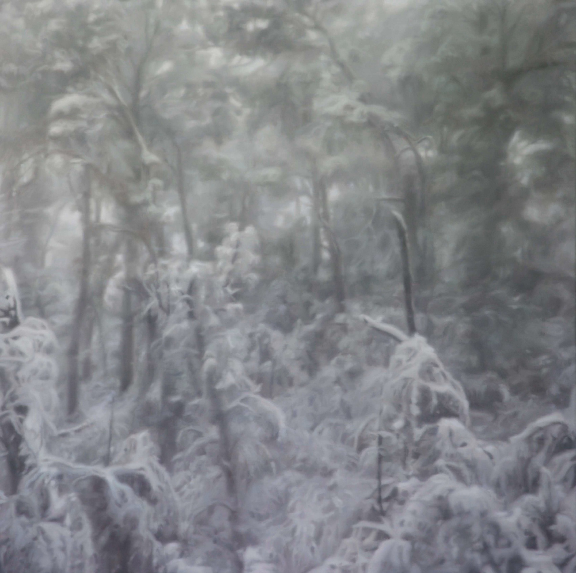 Amelia Carroll | John Leslie Art Prize